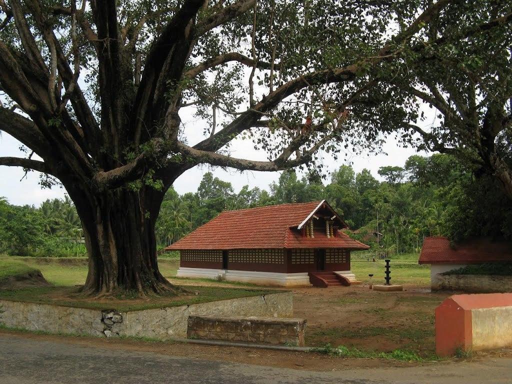 Wayanad Gate Resort Mananthavady Dış mekan fotoğraf