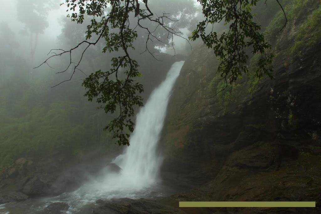 Wayanad Gate Resort Mananthavady Dış mekan fotoğraf