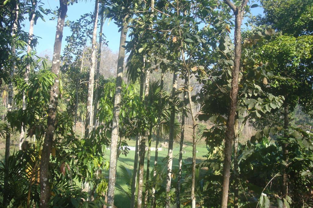 Wayanad Gate Resort Mananthavady Dış mekan fotoğraf