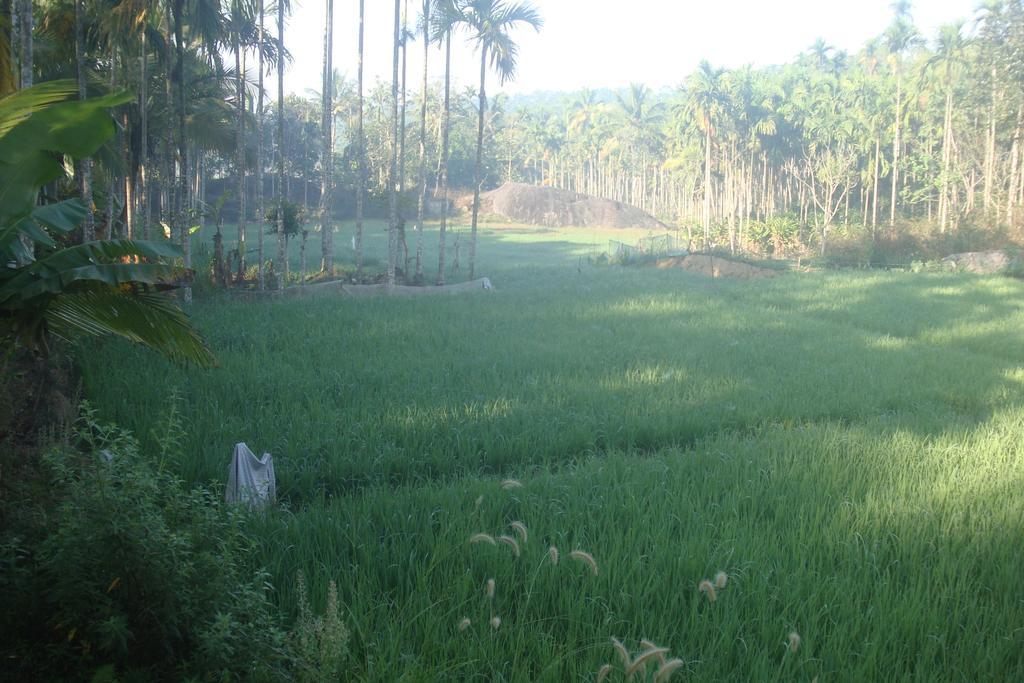 Wayanad Gate Resort Mananthavady Dış mekan fotoğraf