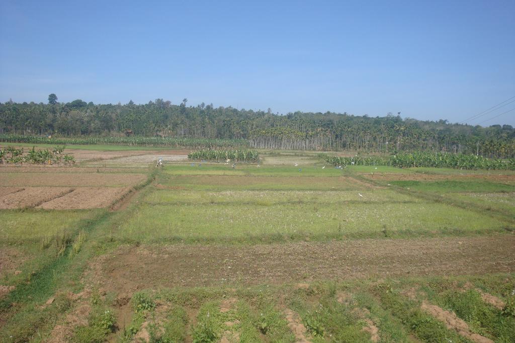 Wayanad Gate Resort Mananthavady Dış mekan fotoğraf